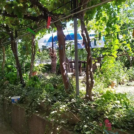 בית הארחה Къща За Гости Вила Пепина *